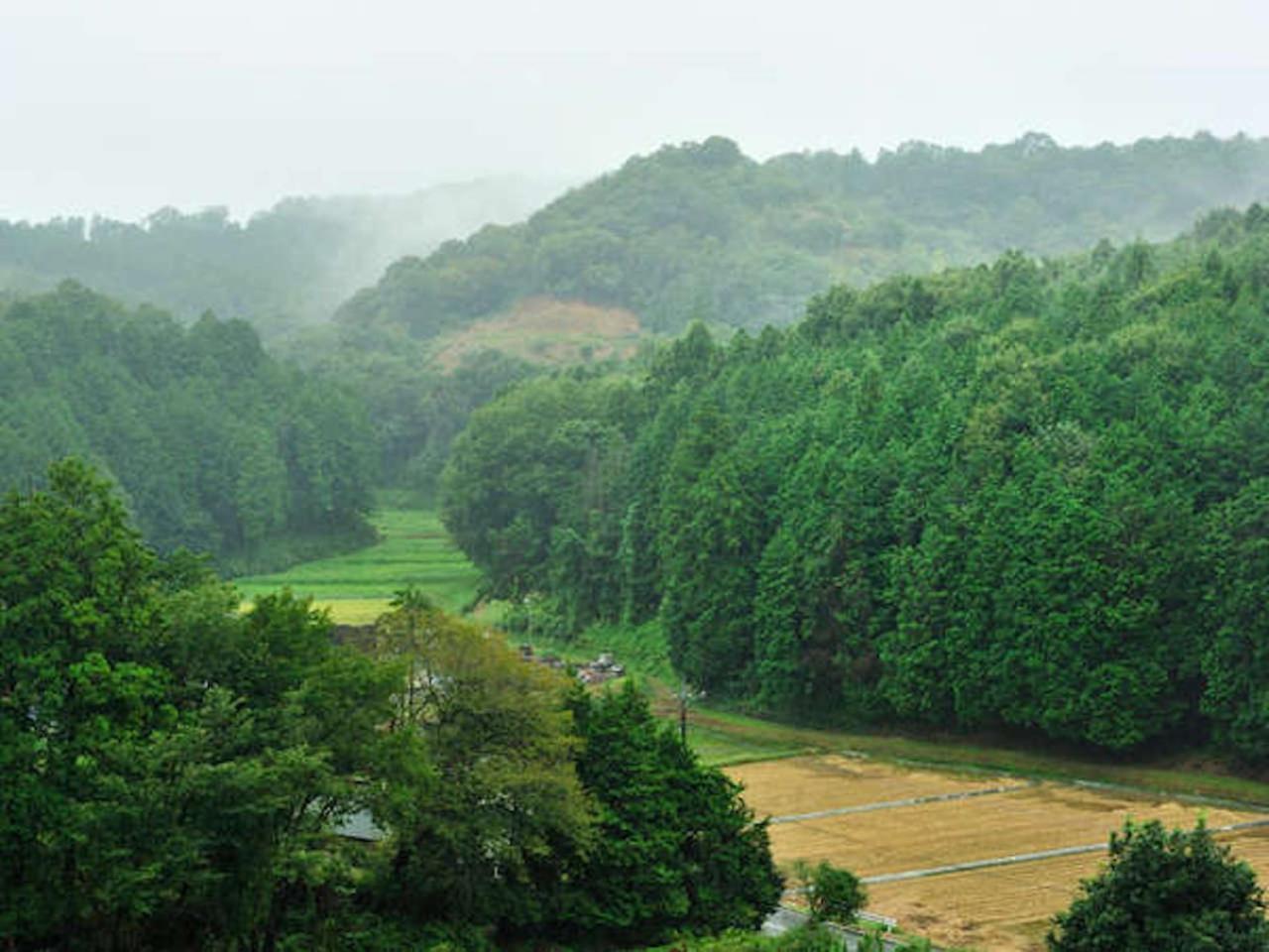 Mashikokan Satoyama Resort Hotel Ngoại thất bức ảnh
